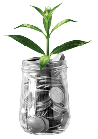 A plant in a jar of coins
